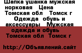 Шапка ушанка мужская норковая › Цена ­ 2 500 - Томская обл., Томск г. Одежда, обувь и аксессуары » Мужская одежда и обувь   . Томская обл.,Томск г.